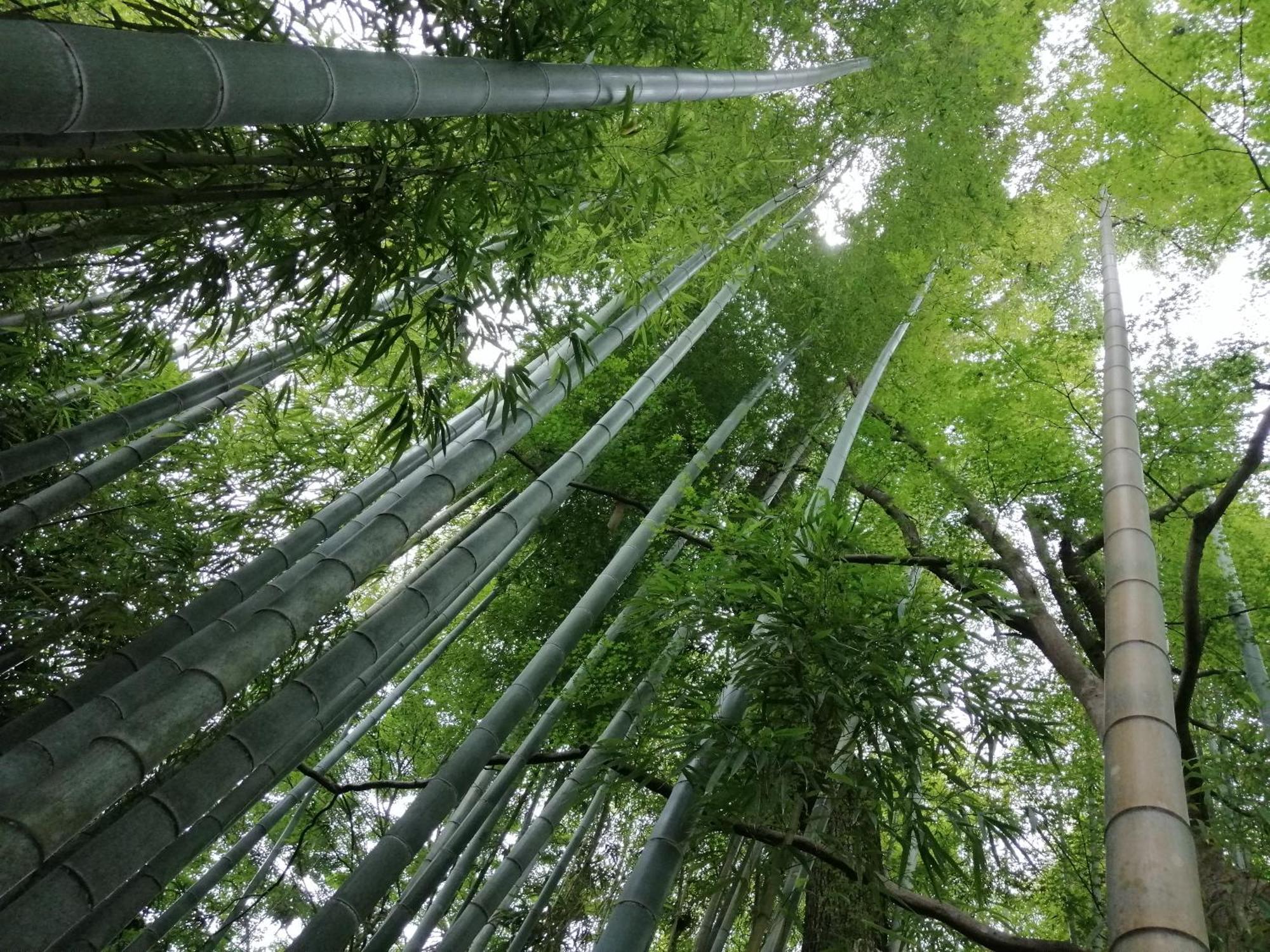 民宿 はまゆう 東伊豆町 エクステリア 写真